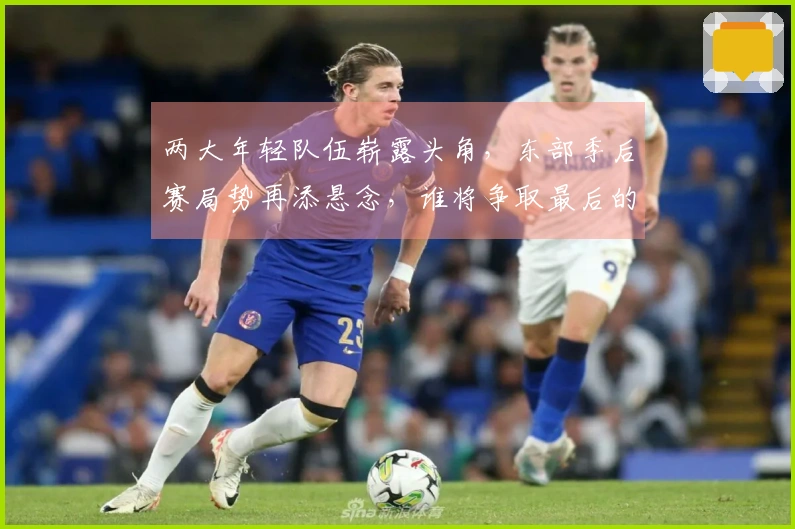 两大年轻队伍崭露头角，东部季后赛局势再添悬念，谁将争取最后的季后赛席位？