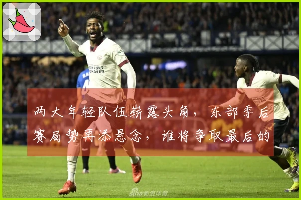 两大年轻队伍崭露头角，东部季后赛局势再添悬念，谁将争取最后的季后赛席位？